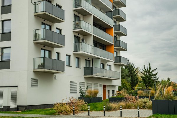 Déjouez les rongeurs : deratisation paris 17 efficace